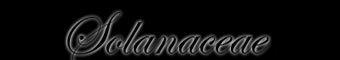 Solanaceae